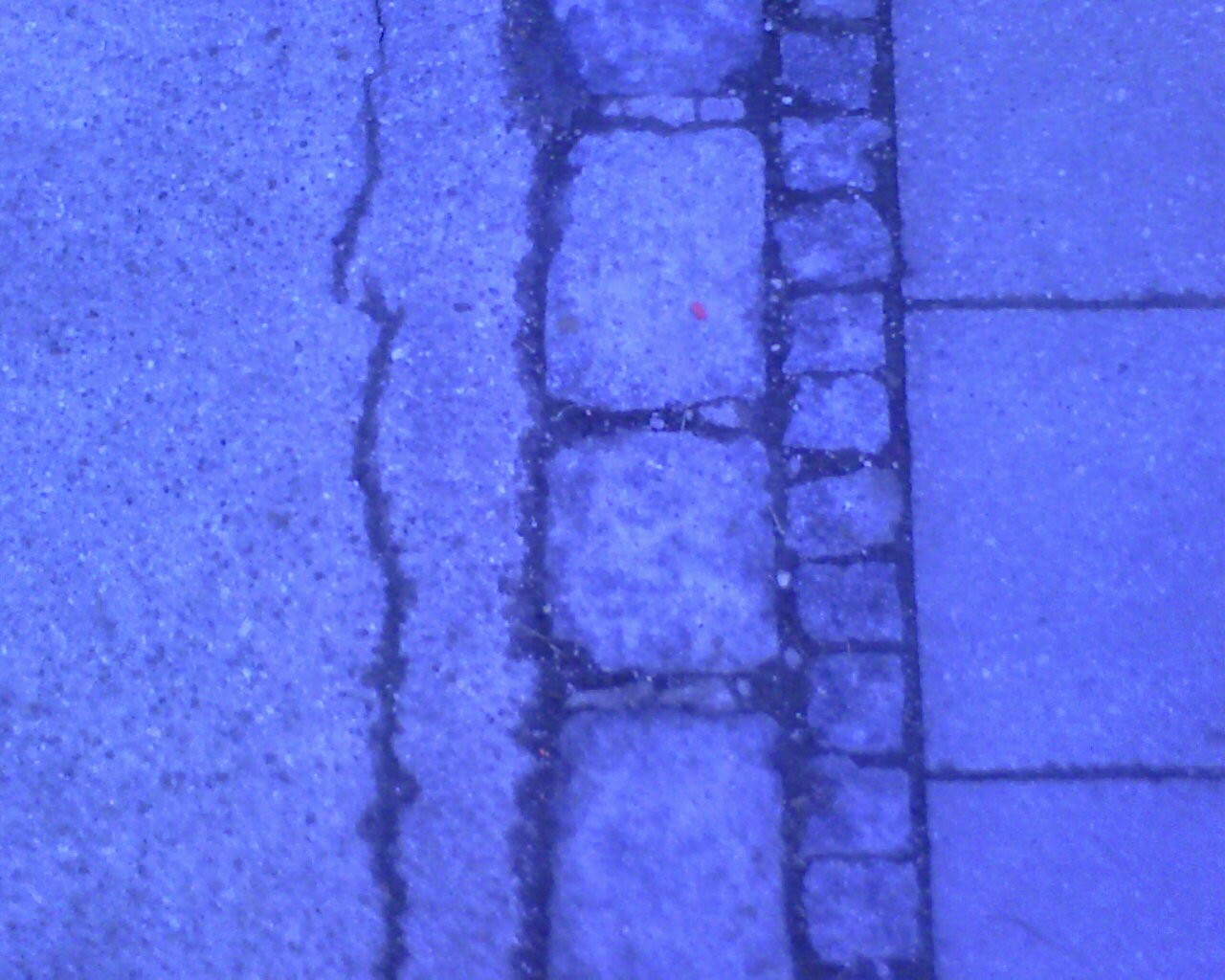 blue level AA1